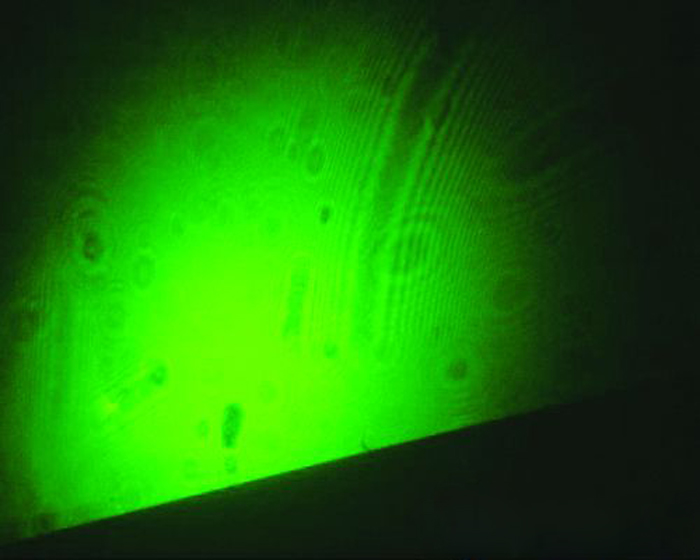 レーザーポインター 顕微鏡